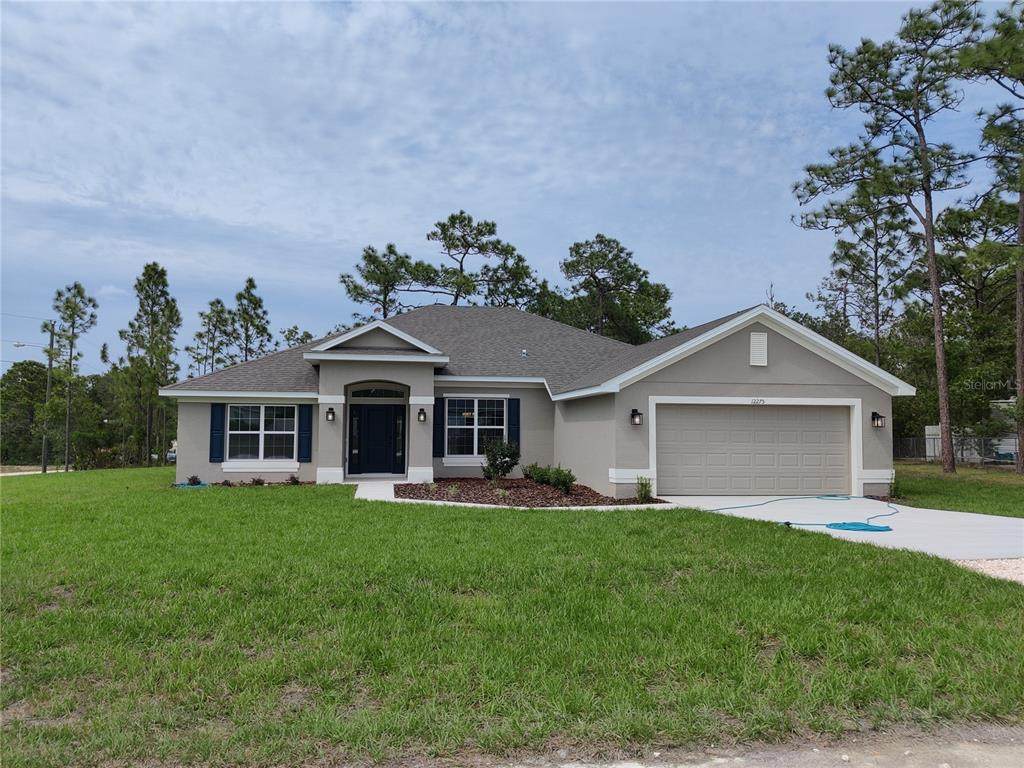 12275 Scarlet Ibis Avenue - Photo 1