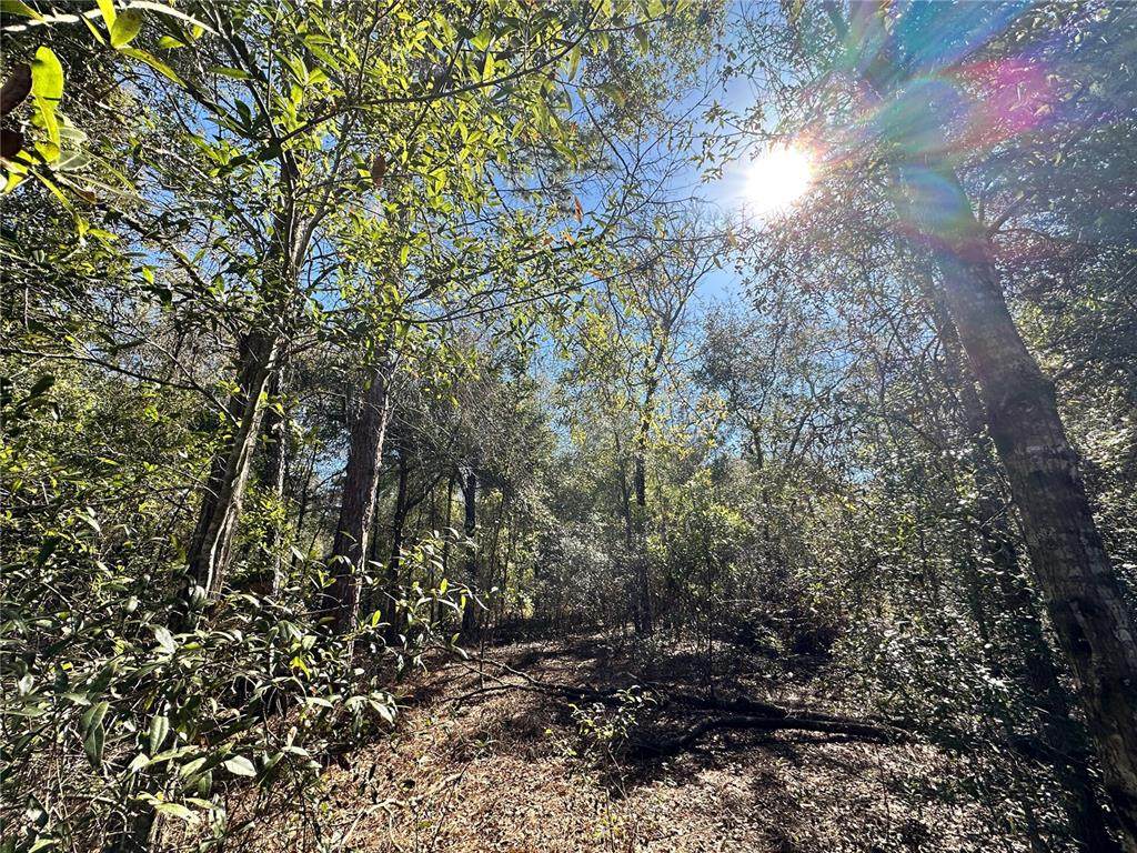 TBD Ne 85Th Avenue - Photo 1