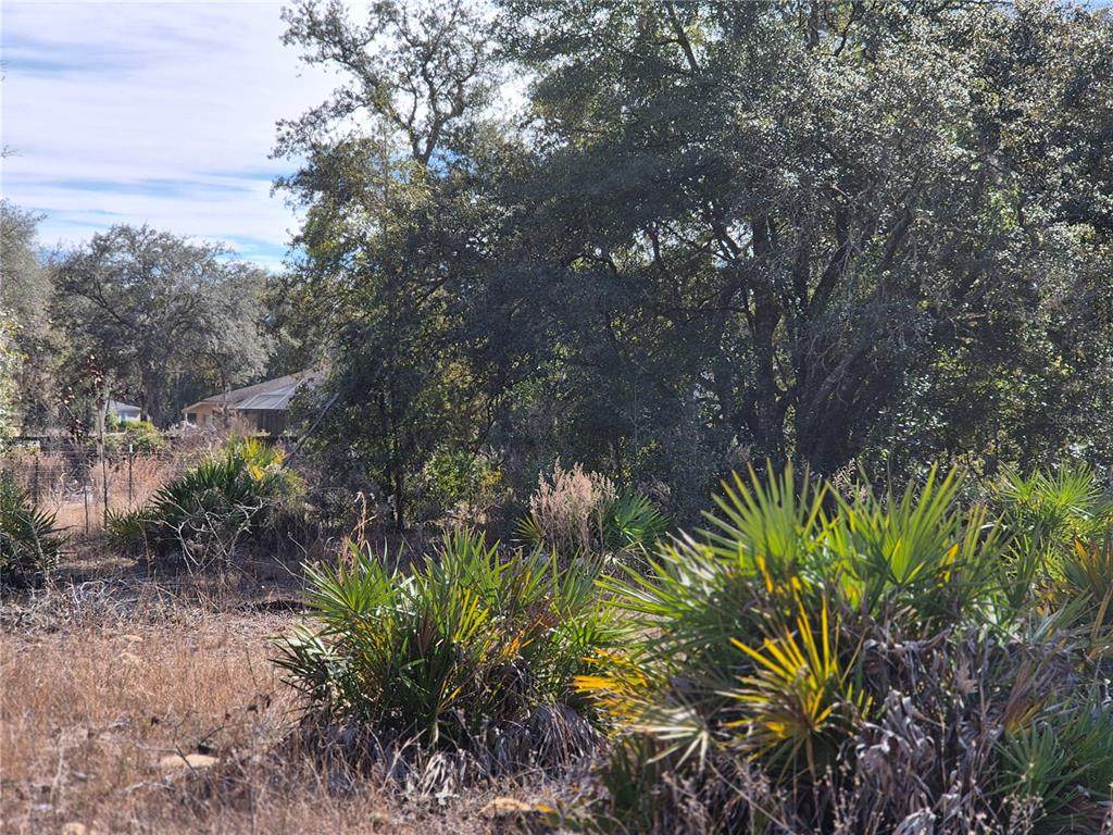 00 78TH Lane - Photo 1