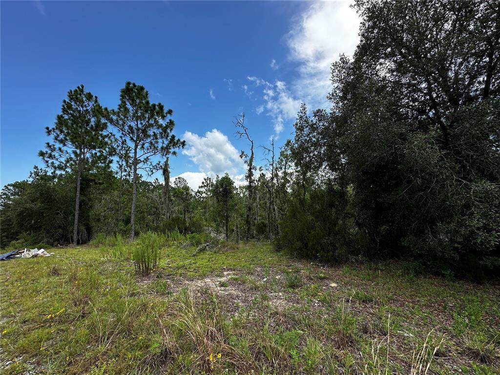 TBD 16TH Lane - Photo 1