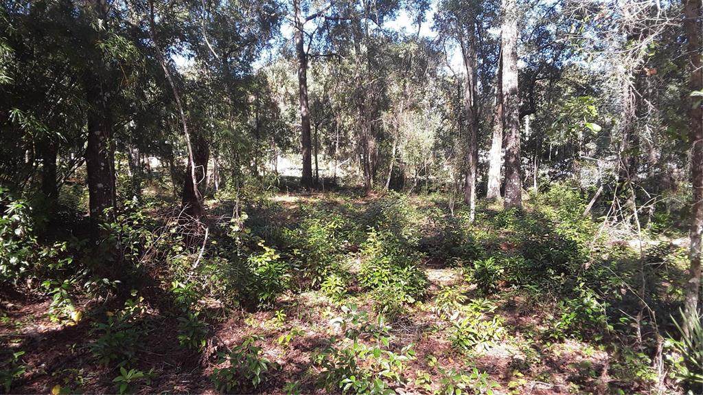 5314 Cucumber Street - Photo 1