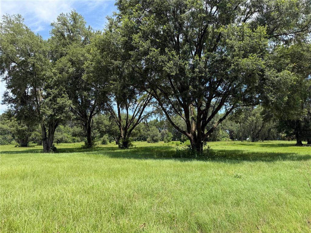 TBD 329 - Photo 1