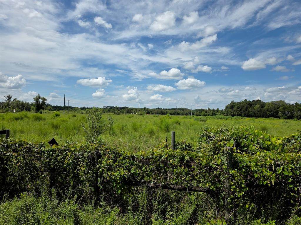 2351 Highway 41 - Photo 1