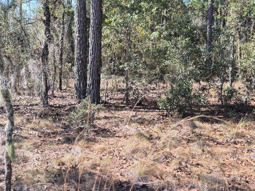 00 137TH Avenue - Photo 1
