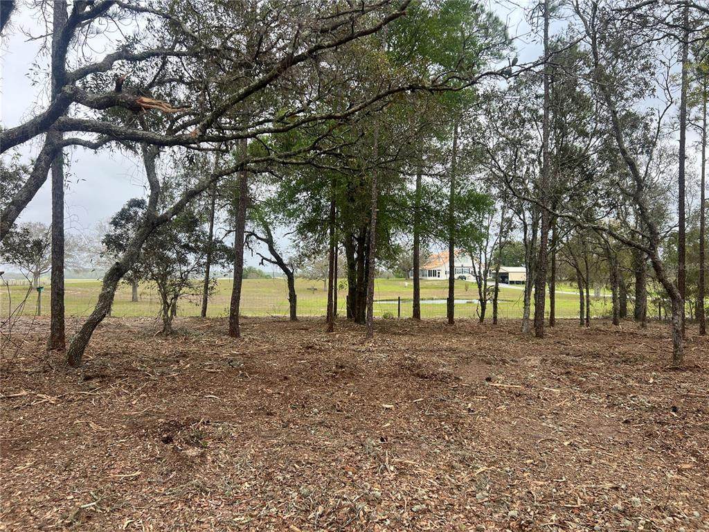 Lot 25 Timberlake Road - Photo 1