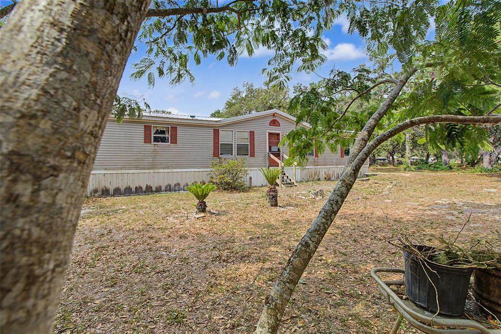 8186 Windsong Street - Photo 1