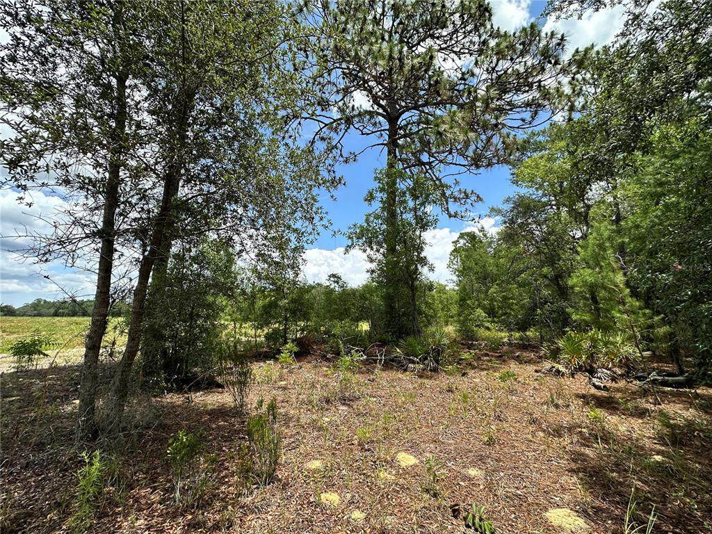 TBD 69TH Place - Photo 1