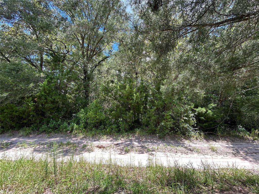 0000 157TH Terrace - Photo 1