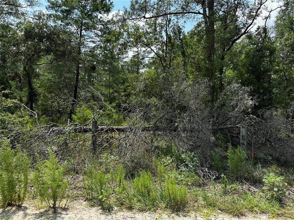 6270 139TH Avenue - Photo 1