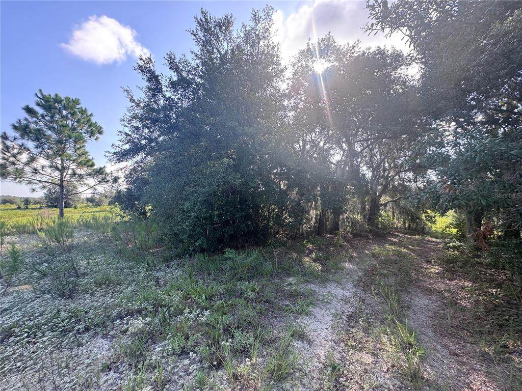 2251 Four Seasons Lane - Photo 1