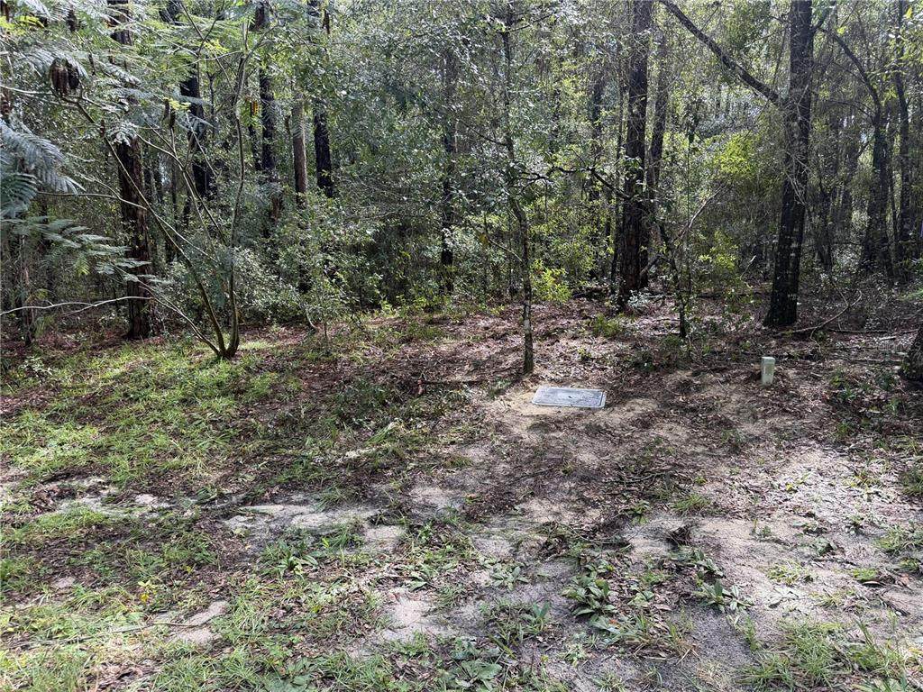 10061 Biscayne Drive - Photo 1