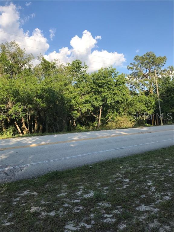Polk City Road - Photo 1