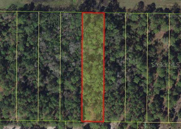 Osceola Polk Line Road - Photo 1