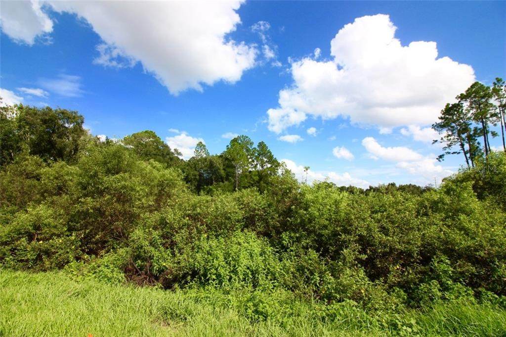 Hwy 17 92 N, Lot 1 - Photo 1