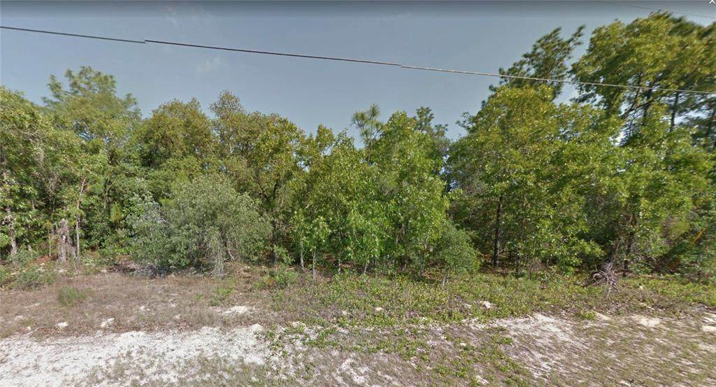 8537 Linwood Loop - Photo 1