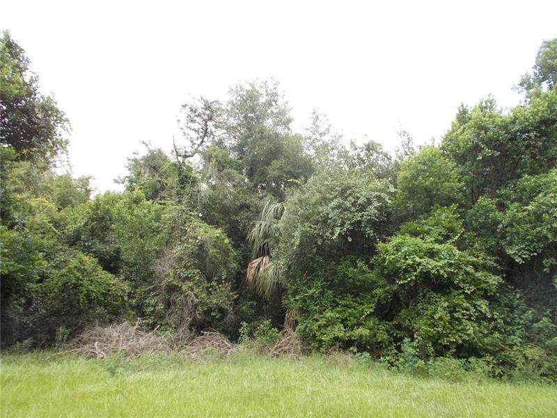 Mammoth Grove Road - Photo 1