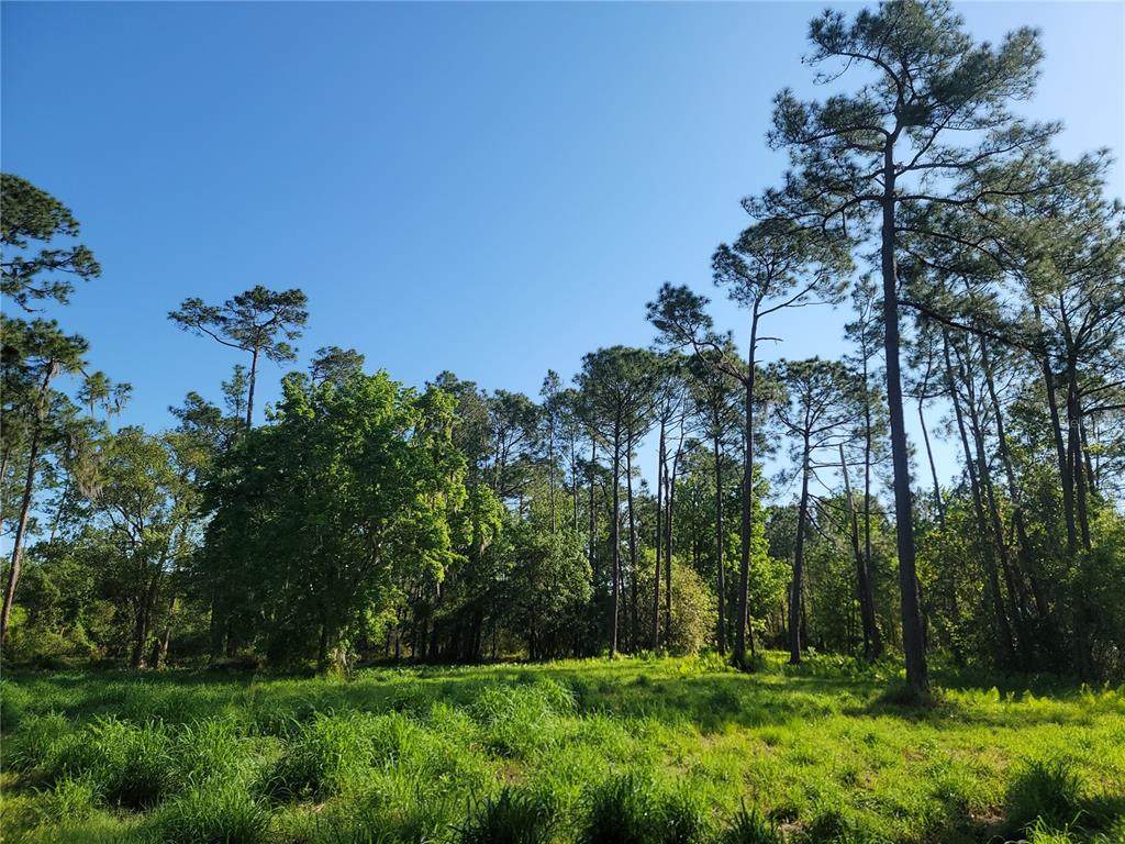  Pollard Road - Photo 1
