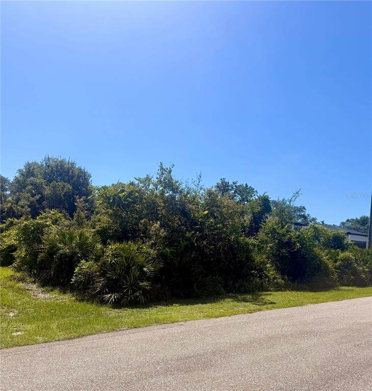 2228 Wakefield Street - Photo 1