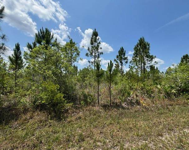 1015 Calliandra Drive - Photo 1