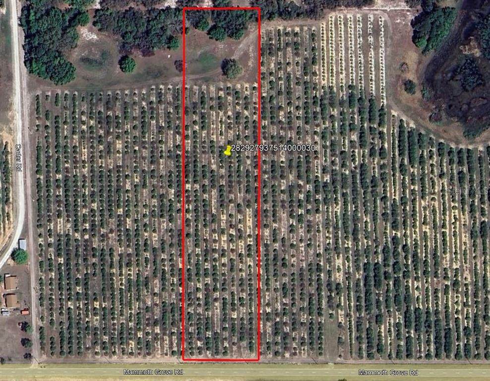  Mammoth Grove Road - Photo 1
