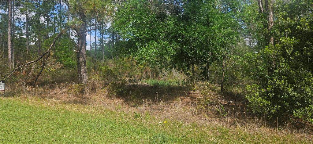 408 Pandora Drive - Photo 1