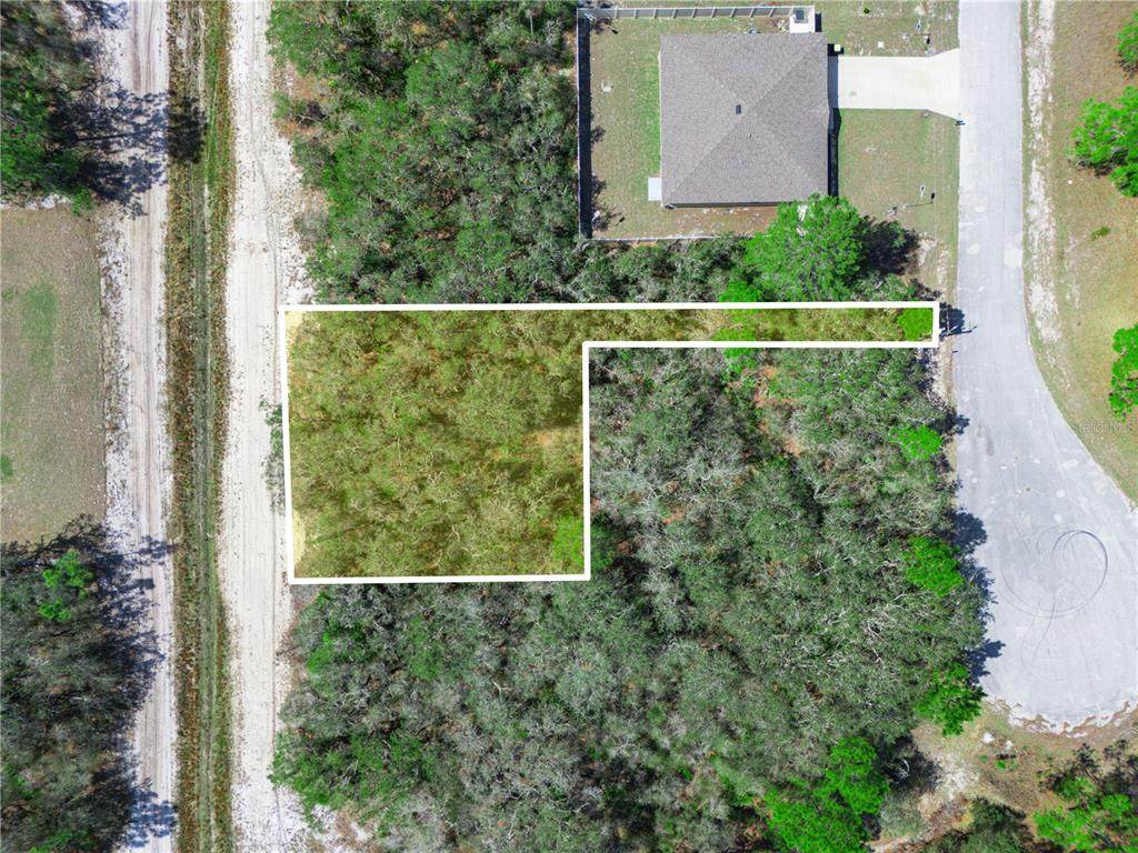 1246 Wahneta Drive - Photo 1