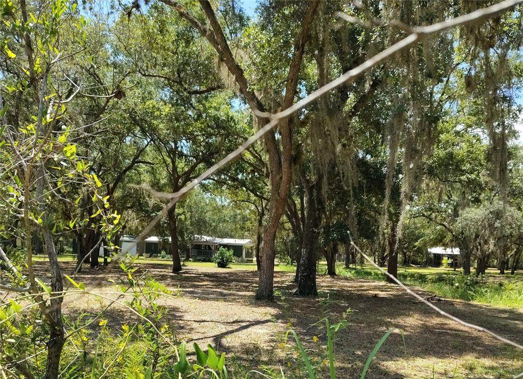 12627 Blackberry Lane - Photo 1