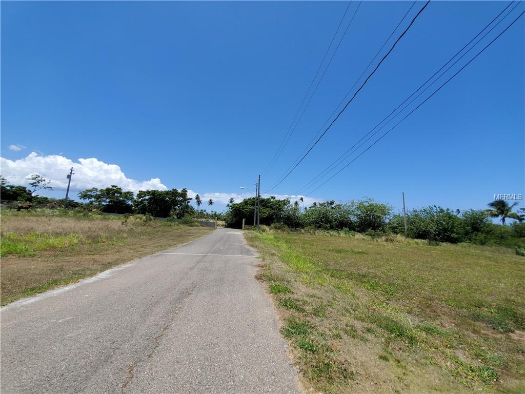 Road 459 km 13.1 int Calle Las Uvas - Photo 1