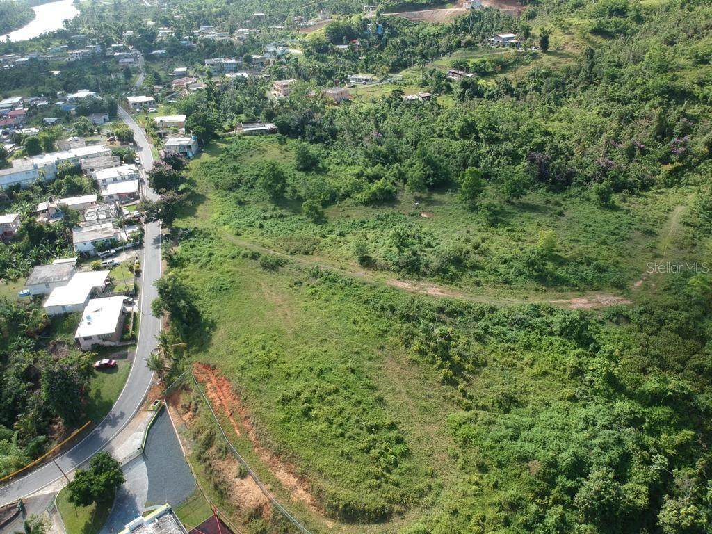 Jaguas Ward 941 Road - Photo 1