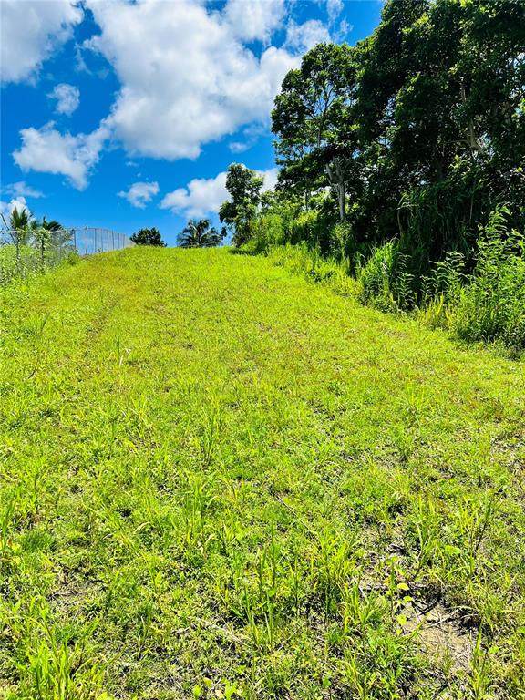 857 Carretera - Photo 1