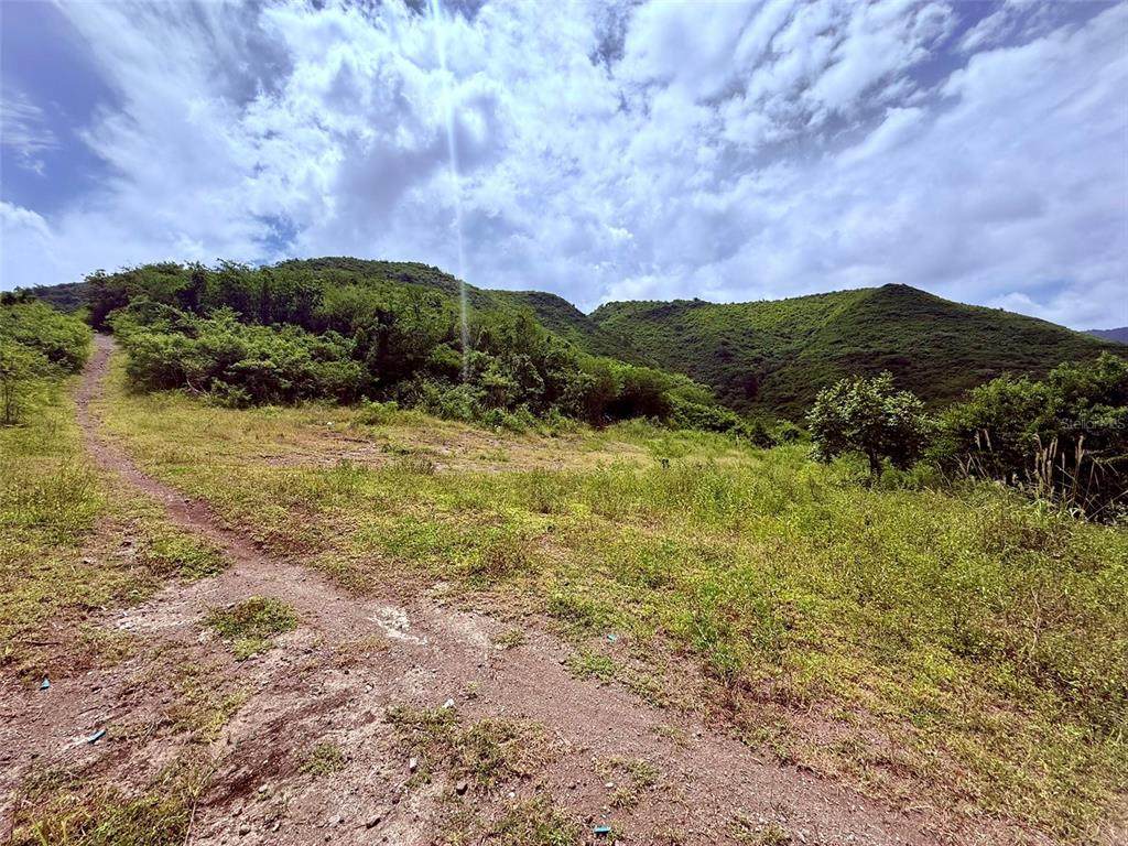  Parcela #74 - Photo 1