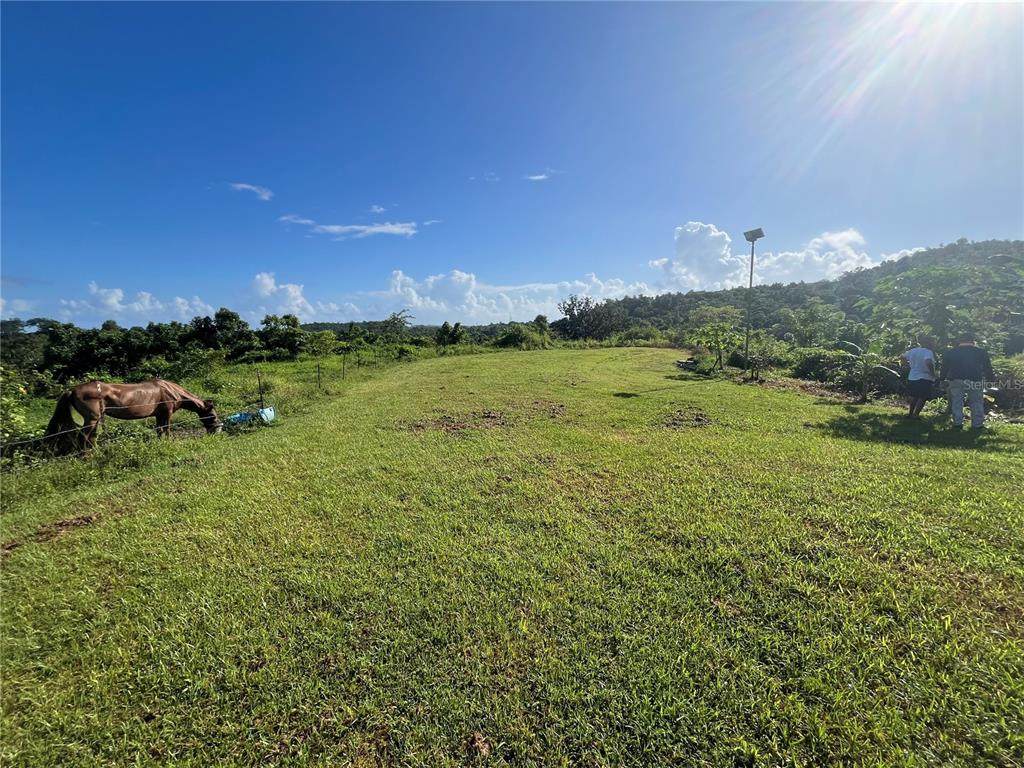 CARR. 857 KM.HM 003  Bo. Canovanillas - Photo 1