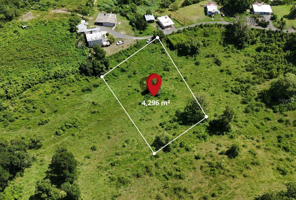 CARR. 445 KM. 3.4 IN Barrio Saltos - Photo 1