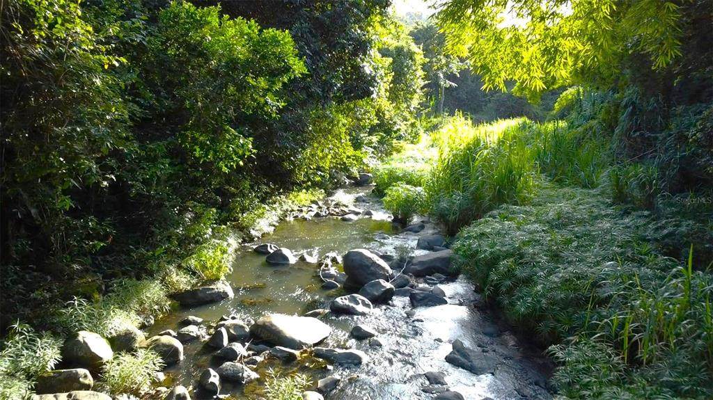 Bo. Carruzo Sector Las Flores - Photo 1