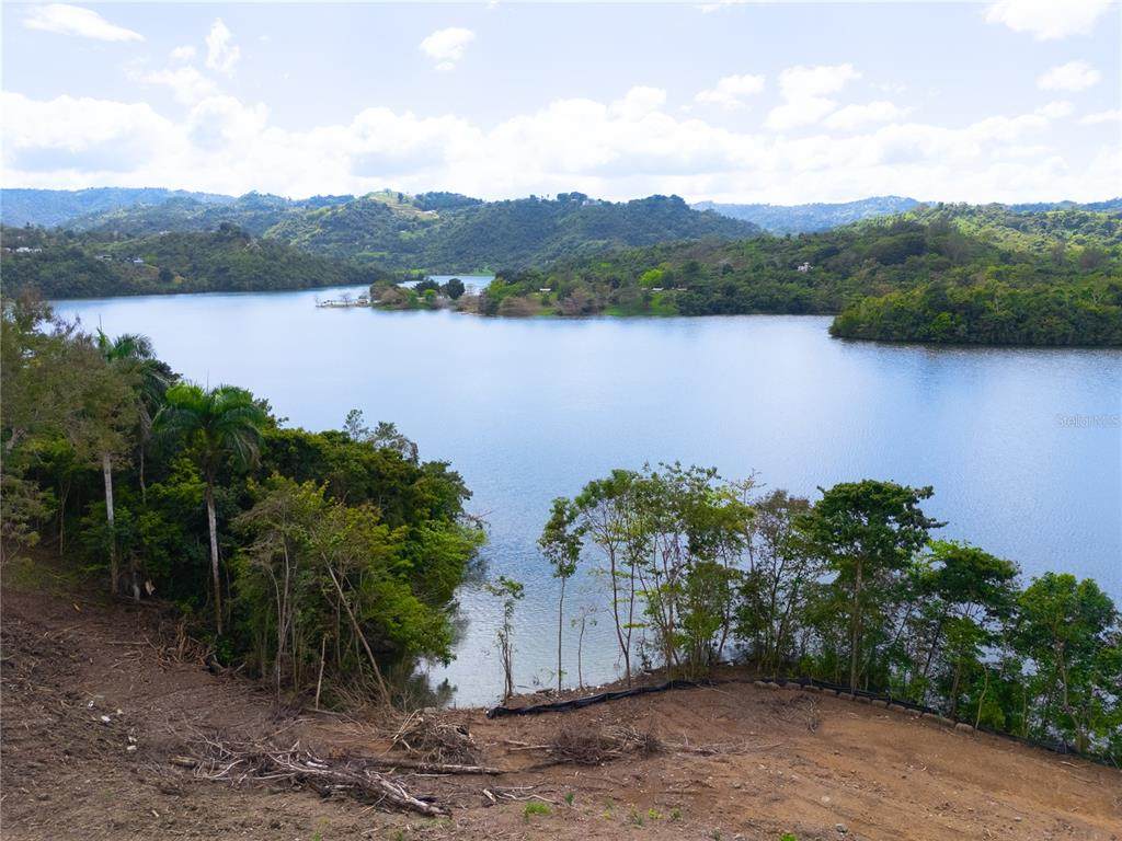 CARR 827 Km 5.0, Interior, Bo. Ortiz, Lot  2 - Photo 1