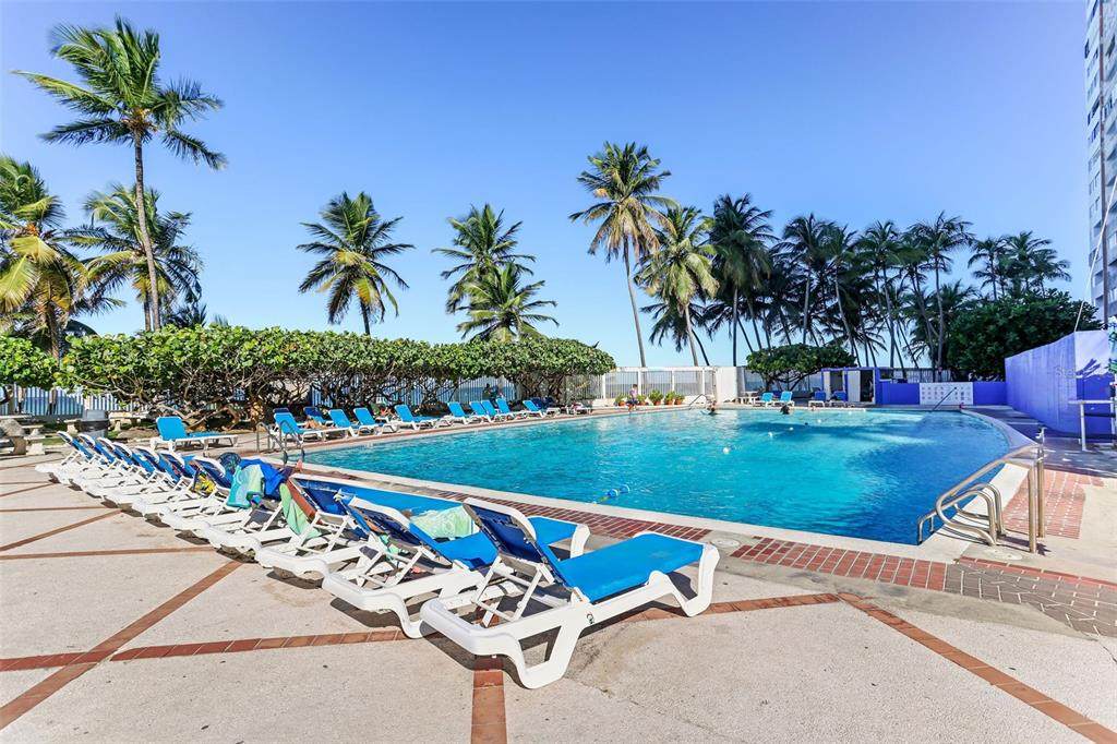 1479 Ashford - Photo 1