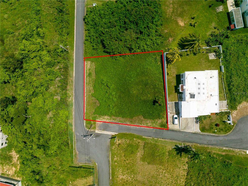 Bo MAMEYES Lindo Mar Ii - Photo 1