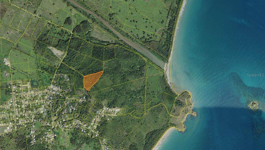 Lot 45 PR 923 Sect. Vista Alegre, Buena Vista Ward - Photo 1
