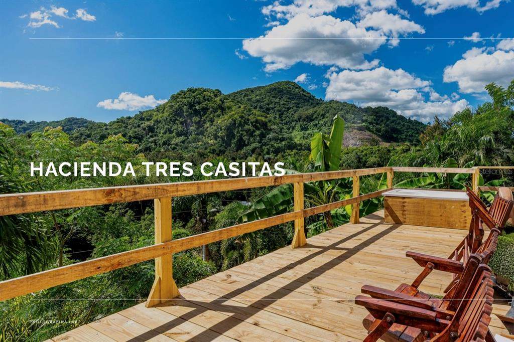 SR 310 km 0.8 Las Quebradas , Hacienda Tres Casitas - Photo 1