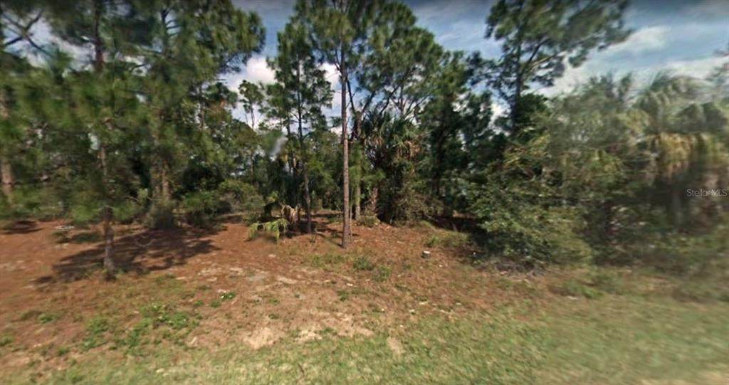 Phillips Road - Photo 1