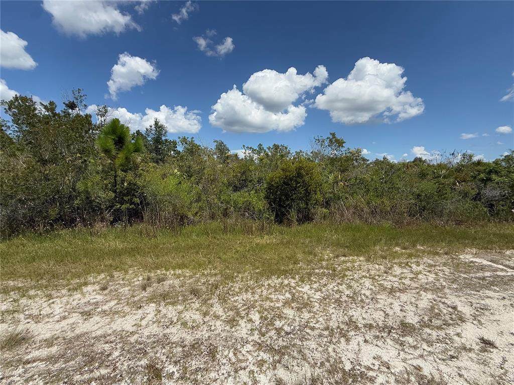  Sarasota Drive - Photo 1