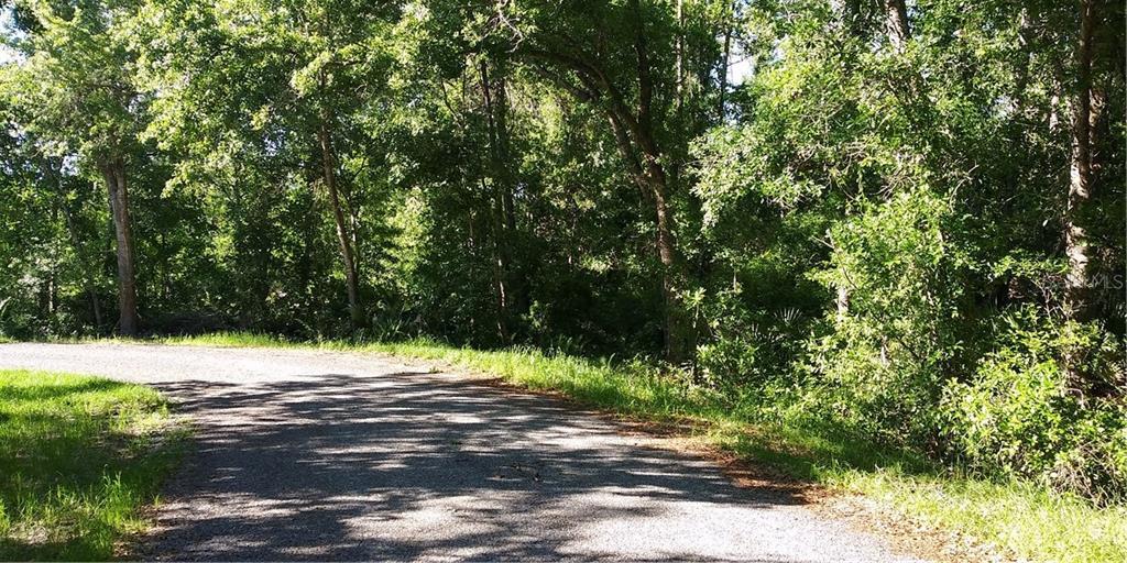 Osage Trail - Photo 1