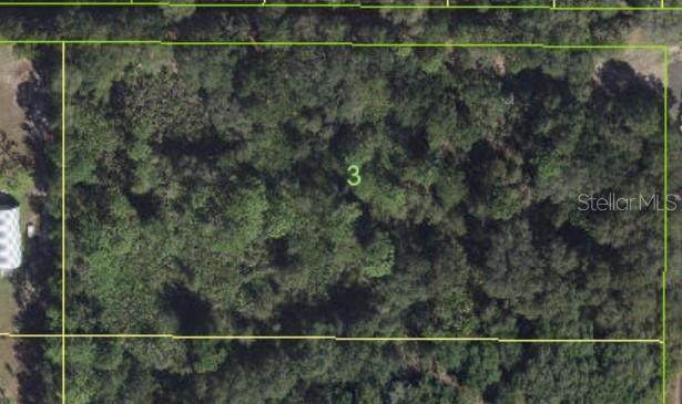 2902 Clark Road - Photo 1