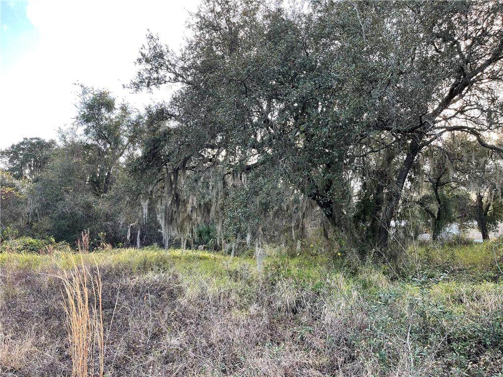 Fryer Road - Photo 1