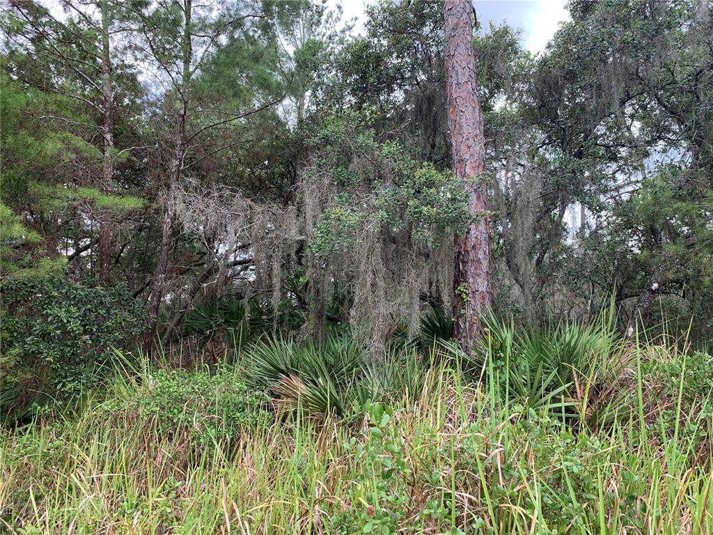 206 Caspian Tern Avenue - Photo 1