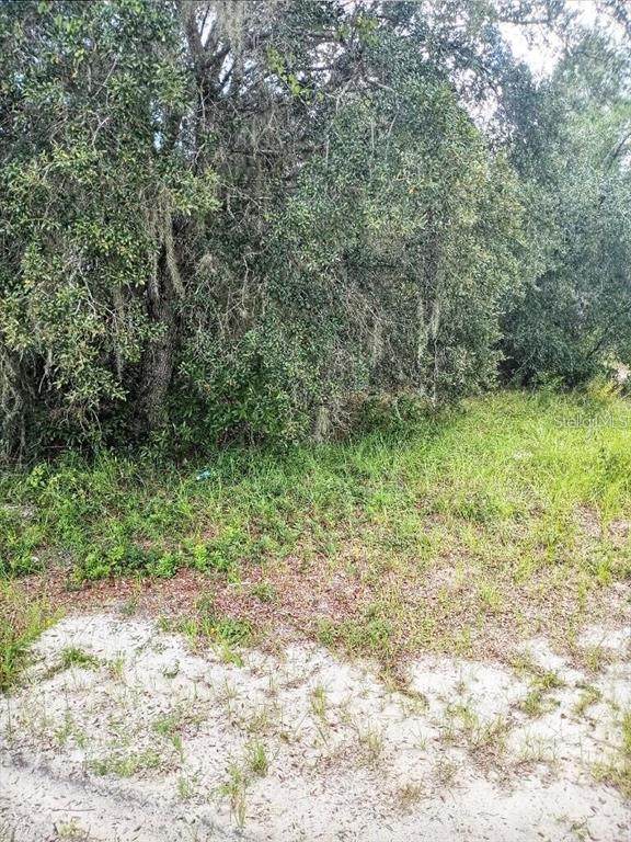 1263 Baltic Drive - Photo 1