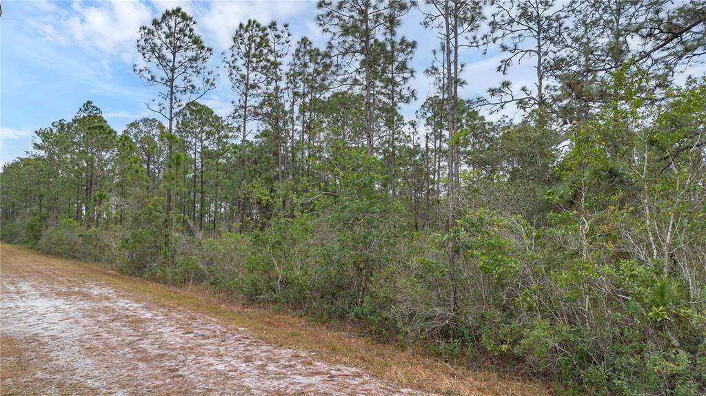 209 El Dorado Drive - Photo 1