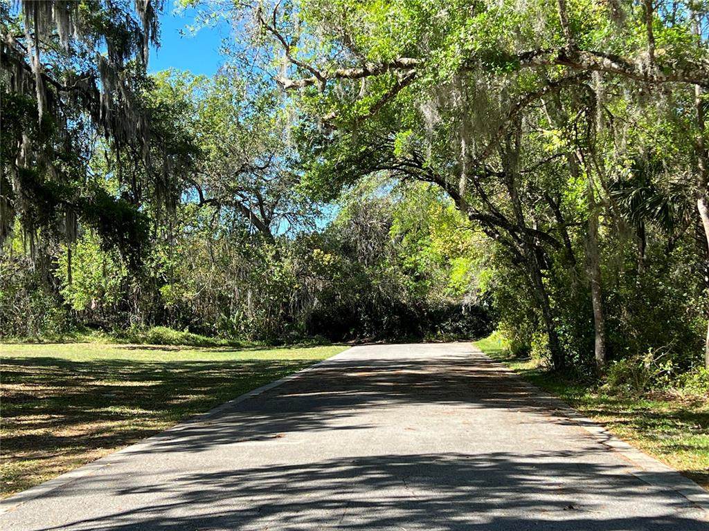 160 Cutbank Trail - Photo 1