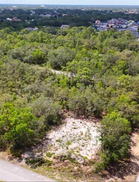 449 Naples Court - Photo 1