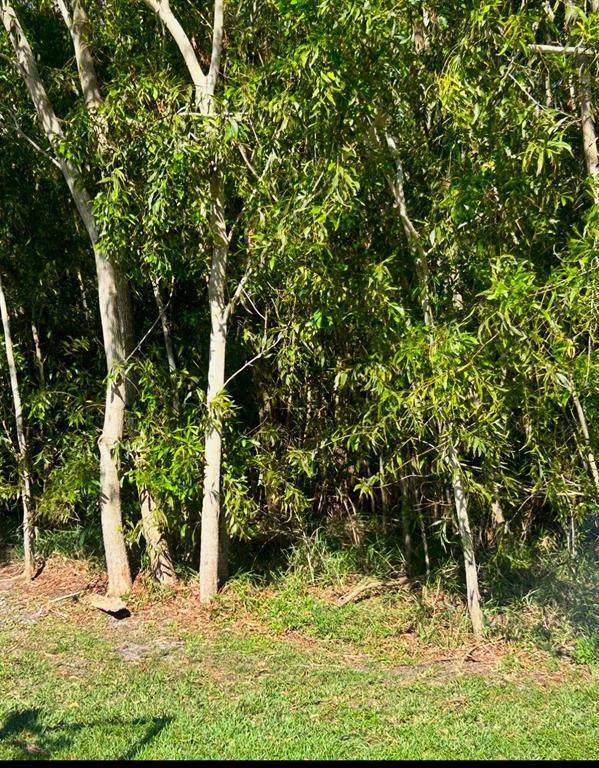 4941 Foxworth Avenue - Photo 1